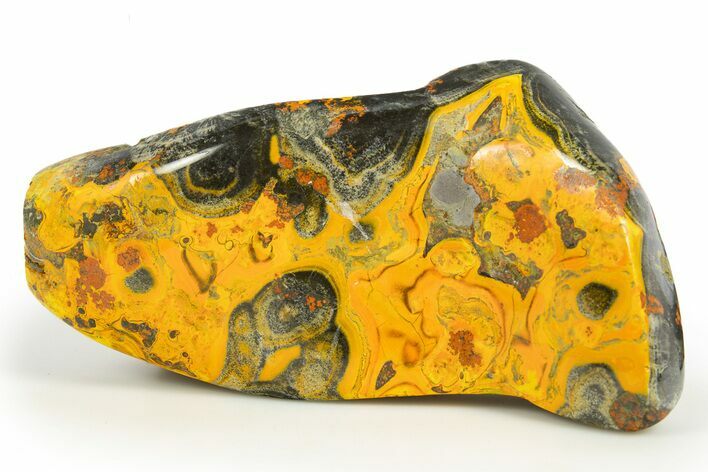 Very Vibrant, Free-Standing Polished Bumblebee Jasper #309690